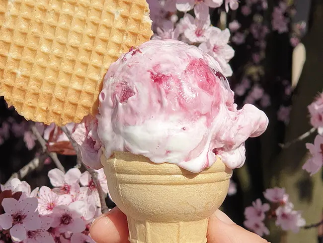 Lody gałkowe