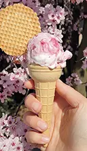Lody gałkowe